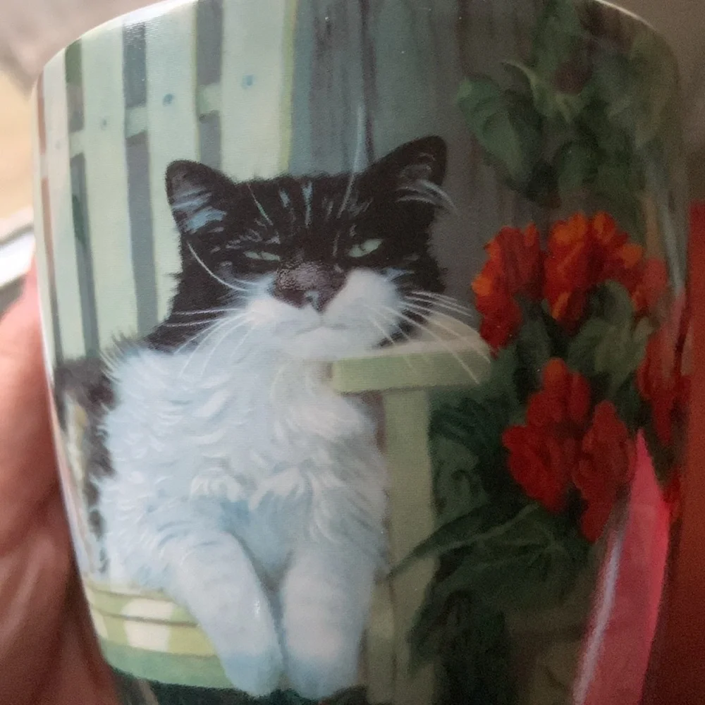 Lang “Hangin’ out “ mug in box - Picture 2 of 8